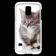 Coque Samsung Galaxy S5 Mini chaton gris 4