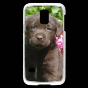 Coque Samsung Galaxy S5 Mini Chien labrador chocolat 3