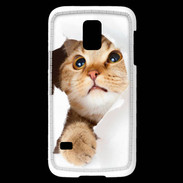 Coque Samsung Galaxy S5 Mini Chaton caché