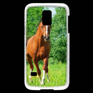 Coque Samsung Galaxy S5 Mini Cheval arabe robe marron et blanche