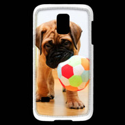 Coque Samsung Galaxy S5 Mini Bull mastiff chiot