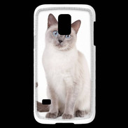 Coque Samsung Galaxy S5 Mini Chat siamois 25