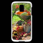 Coque Samsung Galaxy S5 Mini fruits et légumes d'automne