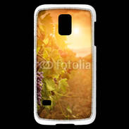 Coque Samsung Galaxy S5 Mini Automne, vignes, couché de soleil