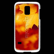 Coque Samsung Galaxy S5 Mini feuilles d'automne