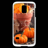 Coque Samsung Galaxy S5 Mini Citrouilles 3