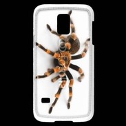 Coque Samsung Galaxy S5 Mini Araignée tarentule