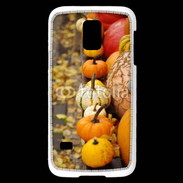 Coque Samsung Galaxy S5 Mini Citrouilles