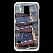 Coque Samsung Galaxy S5 Mini Conchyliculteur