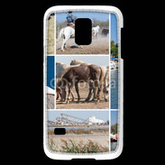 Coque Samsung Galaxy S5 Mini La Camargue