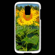 Coque Samsung Galaxy S5 Mini Champs de Tournesol