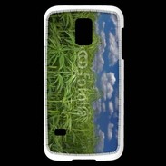 Coque Samsung Galaxy S5 Mini Champs de cannabis