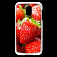 Coque Samsung Galaxy S5 Mini Fraises en folie