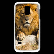 Coque Samsung Galaxy S5 Mini Tête de lion