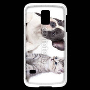 Coque Samsung Galaxy S5 Mini Duo chien et chat