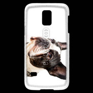 Coque Samsung Galaxy S5 Mini Bulldog français 1