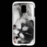 Coque Samsung Galaxy S5 Mini Chiot Husky