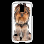 Coque Samsung Galaxy S5 Mini Yorkshire Terrier