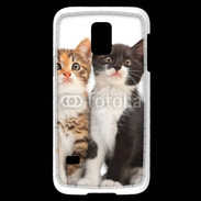 Coque Samsung Galaxy S5 Mini Duo de chatons
