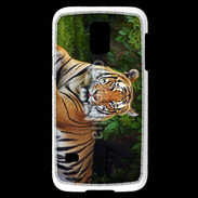 Coque Samsung Galaxy S5 Mini Tigre de Sumatra