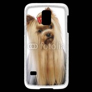 Coque Samsung Galaxy S5 Mini Yorkie de face