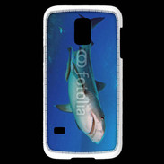 Coque Samsung Galaxy S5 Mini Requin tigre