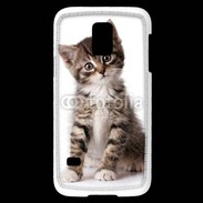Coque Samsung Galaxy S5 Mini Chaton gris 3