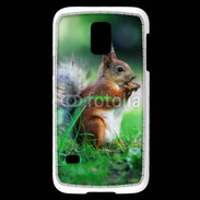 Coque Samsung Galaxy S5 Mini Ecureuil