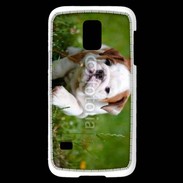 Coque Samsung Galaxy S5 Mini Chiot bulldog anglais 3