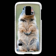 Coque Samsung Galaxy S5 Mini Marmotte 2