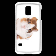 Coque Samsung Galaxy S5 Mini Cochon d'inde 2