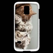 Coque Samsung Galaxy S5 Mini Sieste de chatons