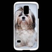 Coque Samsung Galaxy S5 Mini Chiot Shihtzu