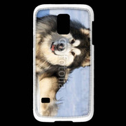 Coque Samsung Galaxy S5 Mini Chien d'Alaska