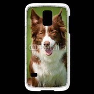 Coque Samsung Galaxy S5 Mini Chien Colley marron et blanc