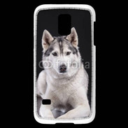 Coque Samsung Galaxy S5 Mini Chien Husky de Sibérie