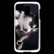 Coque Samsung Galaxy S5 Mini Chiot Husky de Sibérie