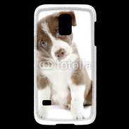 Coque Samsung Galaxy S5 Mini Chiot Colley marron et blanc
