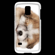 Coque Samsung Galaxy S5 Mini Chiot chien loup 5