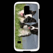 Coque Samsung Galaxy S5 Mini Chien Border Collie noir et blanc
