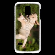 Coque Samsung Galaxy S5 Mini Chiot labrador 3
