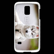 Coque Samsung Galaxy S5 Mini Chien Husky de Sibérie 2
