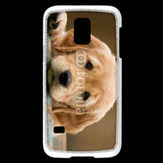 Coque Samsung Galaxy S5 Mini Chiot labrador golden 2