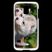 Coque Samsung Galaxy S5 Mini Chiot Husky de Sibérie 3