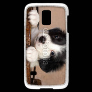 Coque Samsung Galaxy S5 Mini Chiot blanc et noir 2