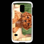 Coque Samsung Galaxy S5 Mini Chiot King Charles 2