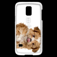Coque Samsung Galaxy S5 Mini Petit chiot 4
