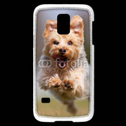 Coque Samsung Galaxy S5 Mini Yorkshire terrier 6