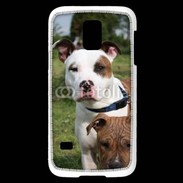 Coque Samsung Galaxy S5 Mini Chien Staffordshire