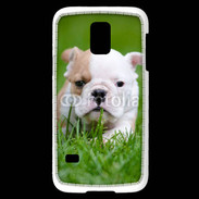 Coque Samsung Galaxy S5 Mini Petit Bulldog anglais